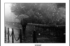 winter