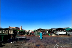 IMG20230203163128-copia