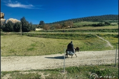 IMG20230204153410-copia