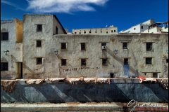 IMG20230206134145-copia